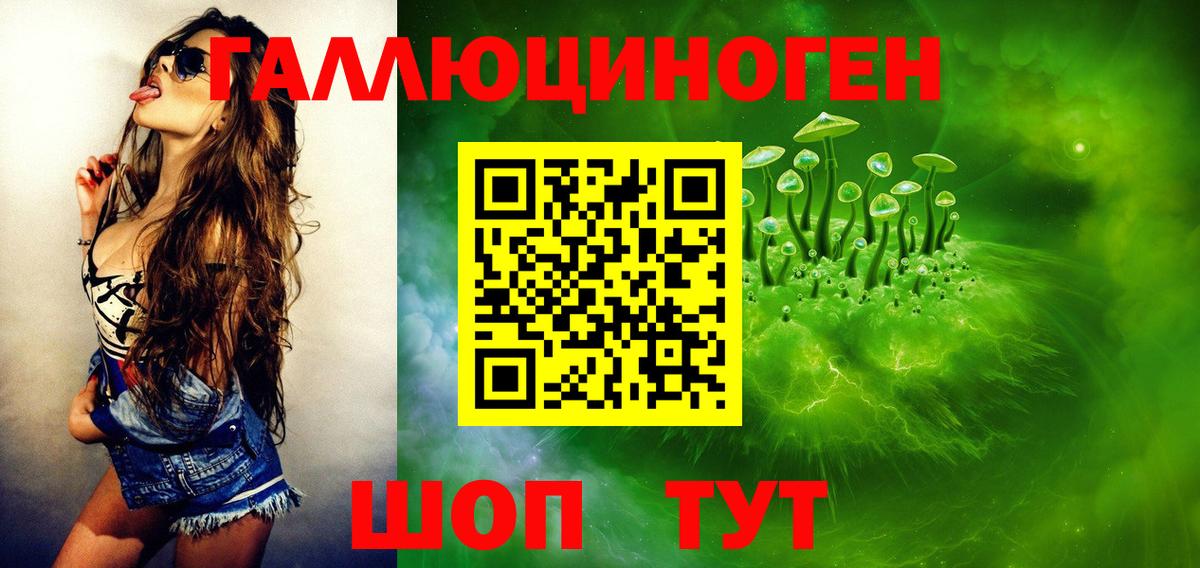 Галлюциногенные грибы мицелий  купить   Вязьма  Вход с VPN 